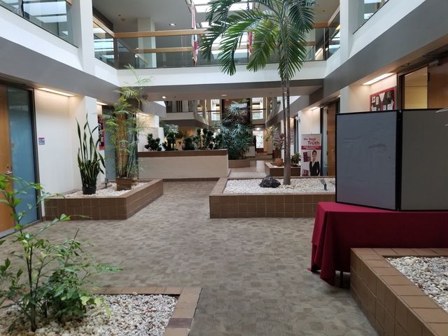 Photo of City College-Fort Lauderdale