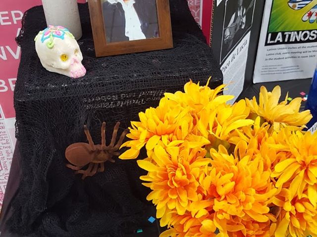 Photo of City Colleges of Chicago-Harry S Truman College