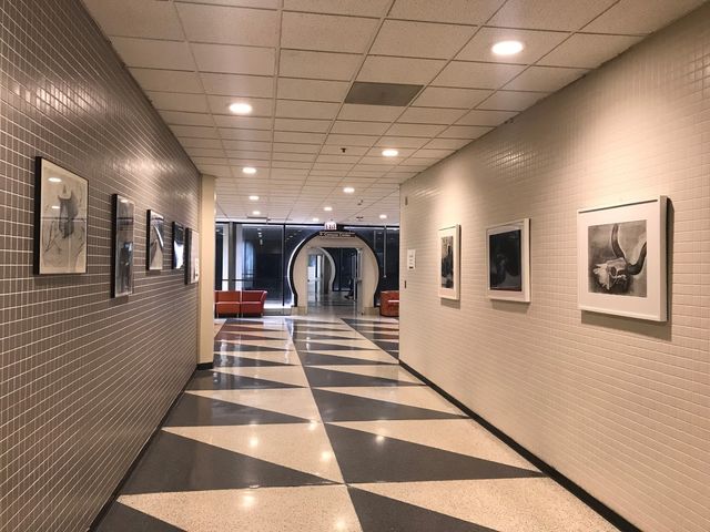 Photo of City Colleges of Chicago-Wilbur Wright College
