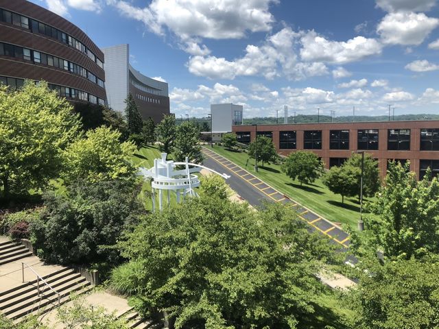 Photo of Cincinnati State Technical and Community College