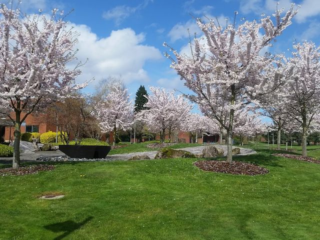 Photo of Clark College