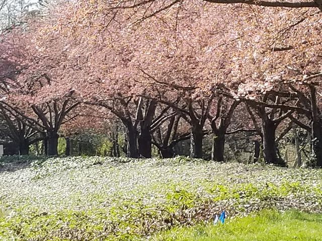 Photo of Clark College