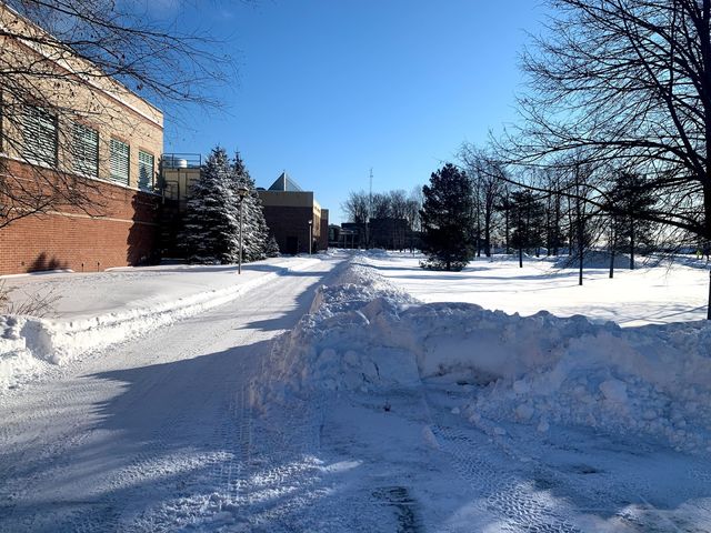 Photo of Clarkson University