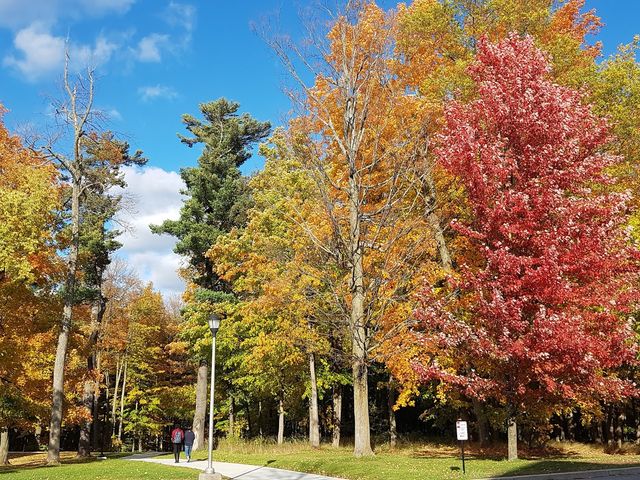 Photo of Clarkson University