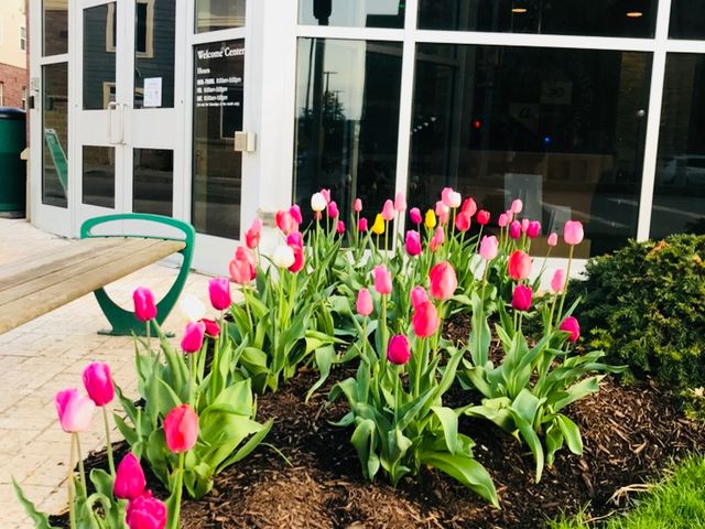 Photo of Cleveland State University