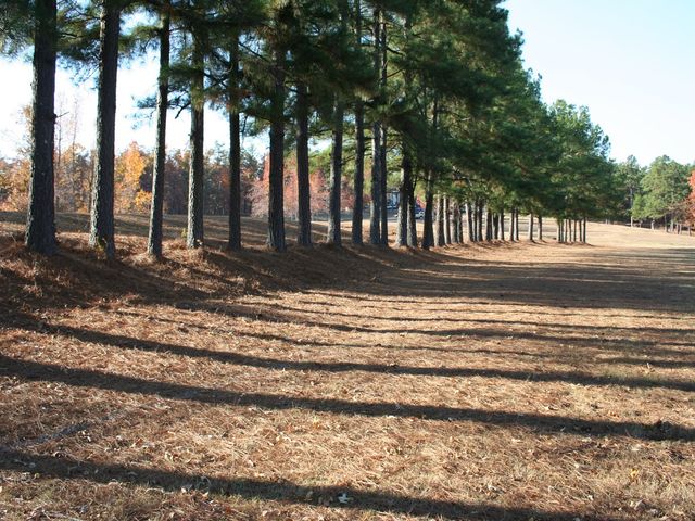 Photo of Crowley's Ridge College