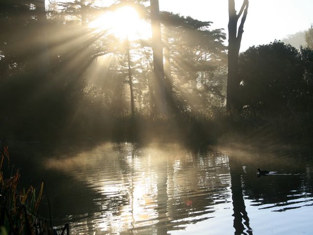 Photo of Crowley's Ridge College