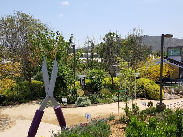 Photo of Cuyamaca College