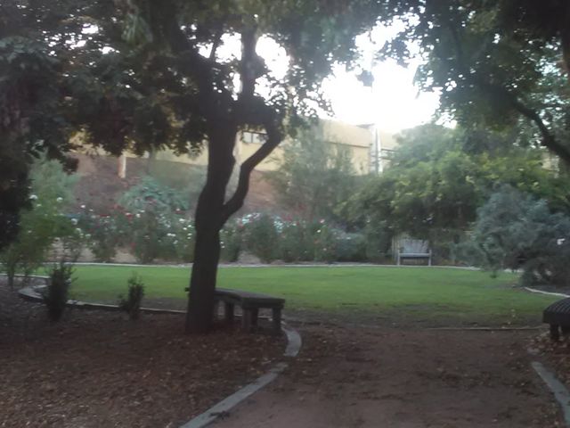 Photo of Cuyamaca College