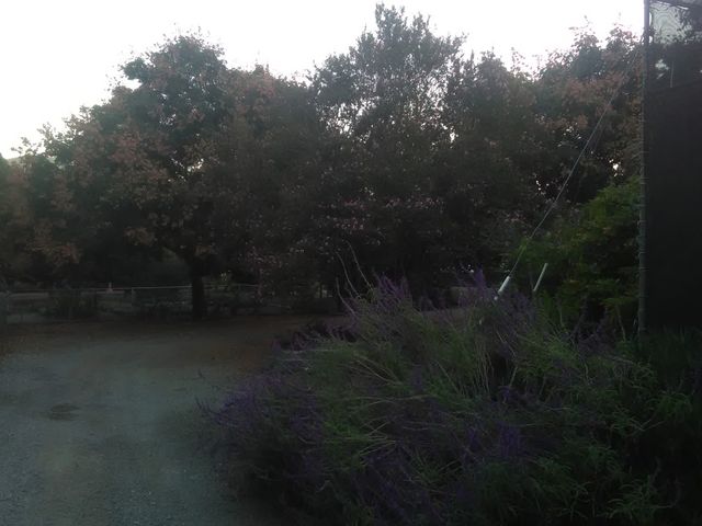 Photo of Cuyamaca College