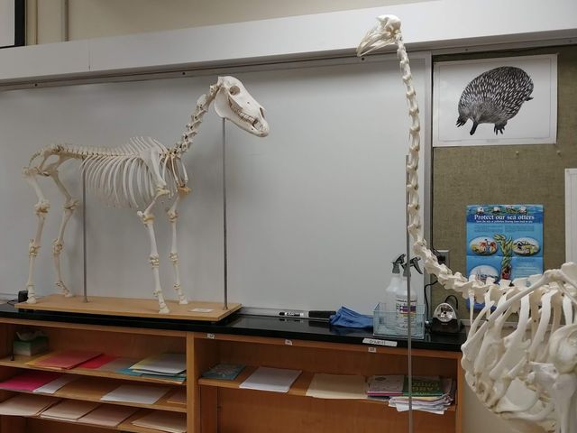 Photo of Cuesta College