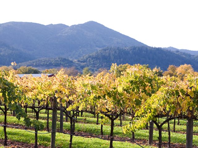 Photo of Culinary Institute of America at Greystone