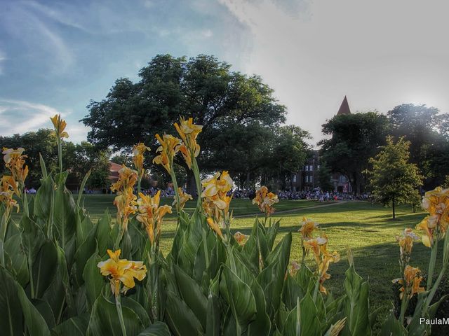 Photo of Cumberland University