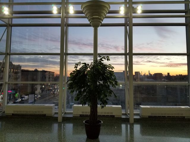 Photo of CUNY Hostos Community College