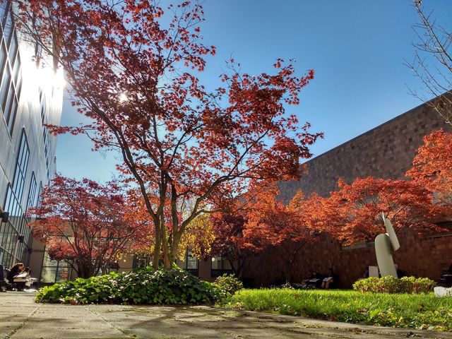 Photo of CUNY LaGuardia Community College