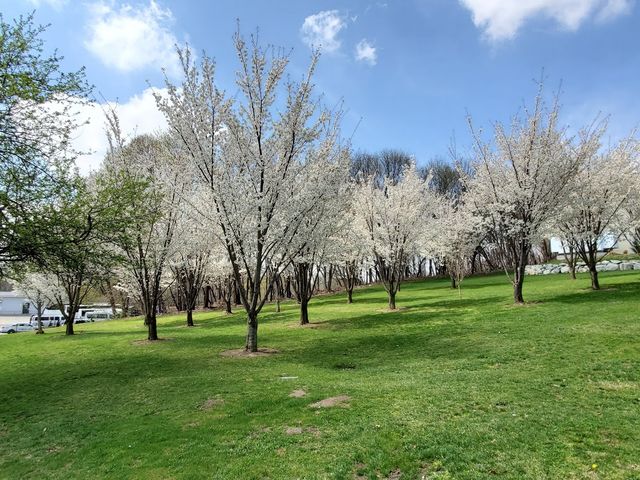 Photo of CUNY Queensborough Community College