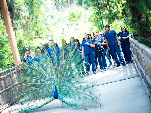 Photo of American College of Healthcare and Technology