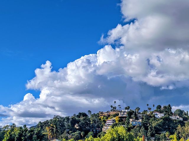 Photo of American Film Institute Conservatory