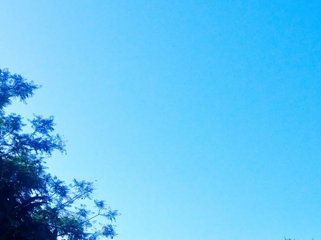 Photo of American Jewish University