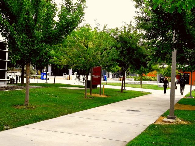 Photo of American River College