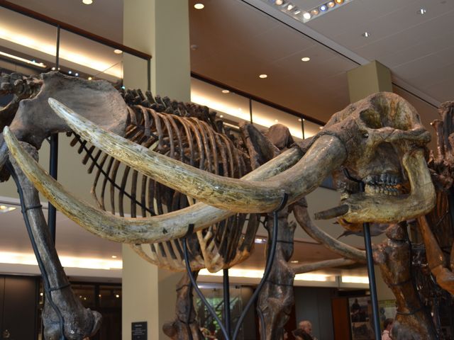 Photo of Amherst College