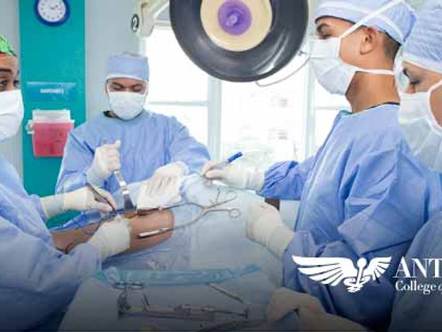 Photo of Antilles School of Technical Careers