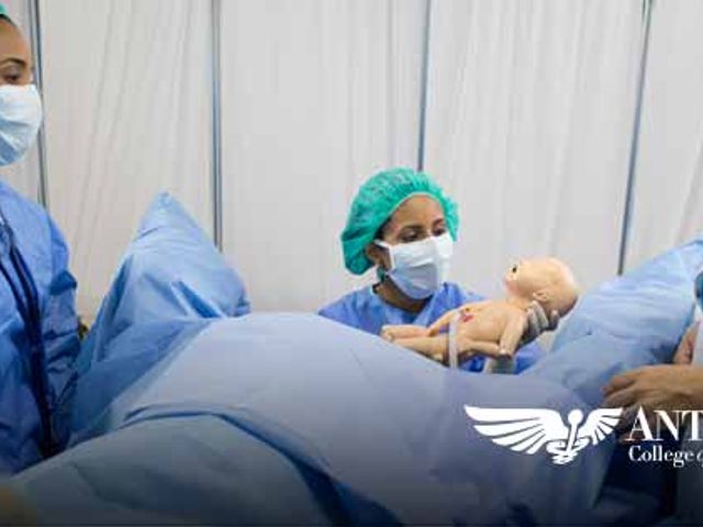 Photo of Antilles School of Technical Careers