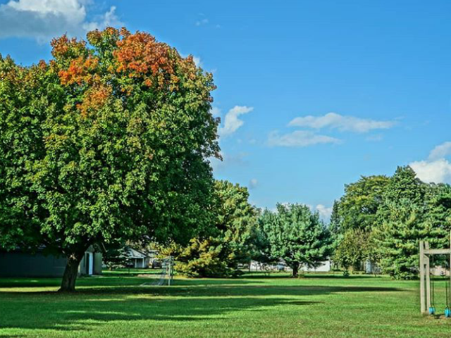 Photo of Anabaptist Mennonite Biblical Seminary