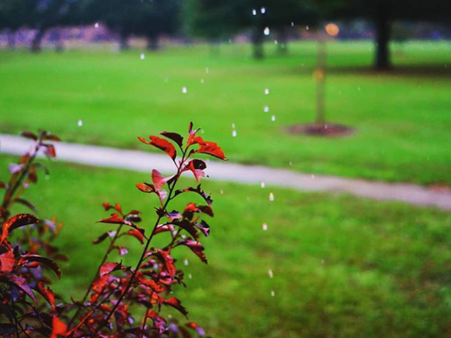 Photo of Anabaptist Mennonite Biblical Seminary