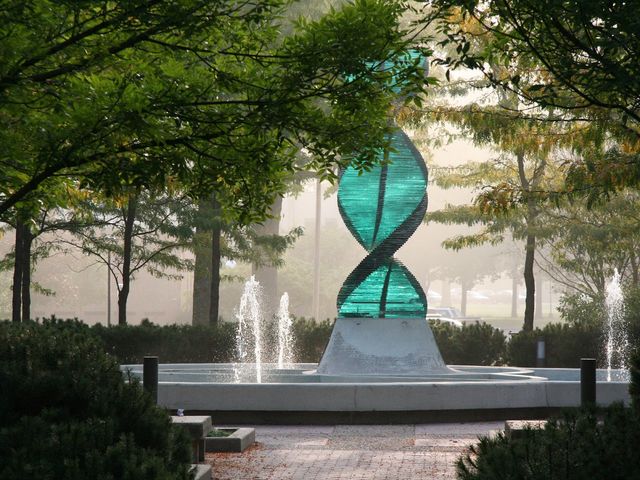 Photo of Anderson University