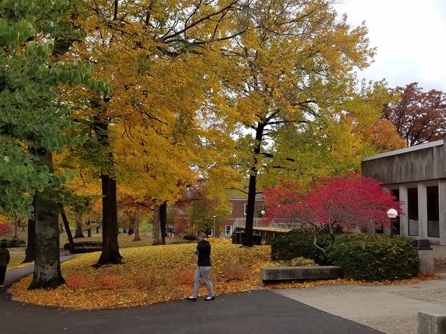 Photo of Anderson University
