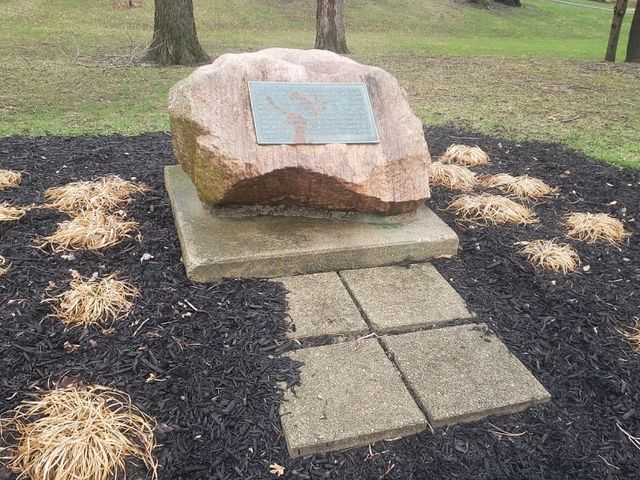 Photo of Anderson University