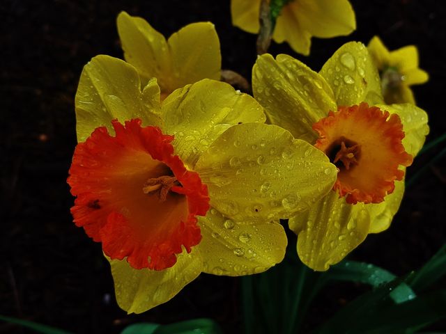 Photo of Anne Arundel Community College