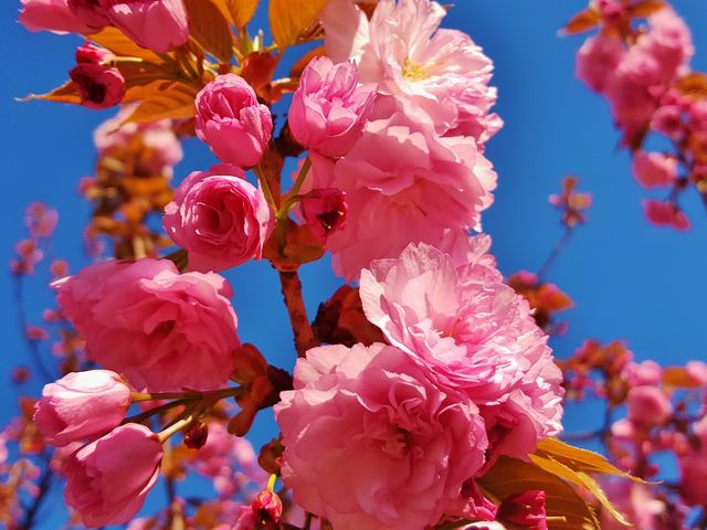 Photo of Anne Arundel Community College