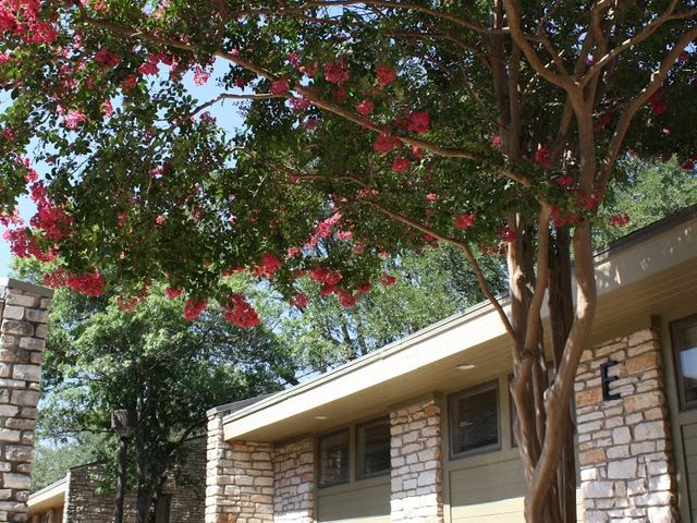 Photo of AOMA Graduate School of Integrative Medicine