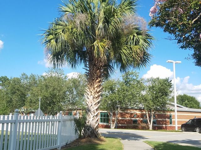 Photo of Abraham Baldwin Agricultural College