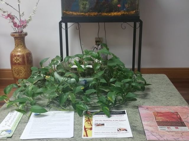 Photo of Acupuncture and Massage College