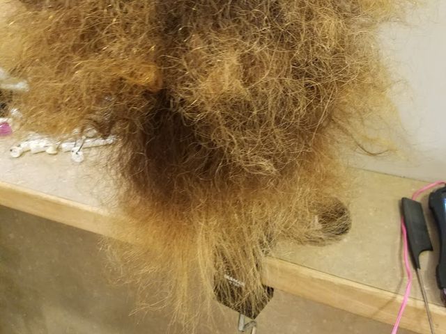 Photo of Academy Di Capelli-School of Cosmetology