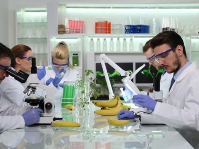 Photo of Adams State University