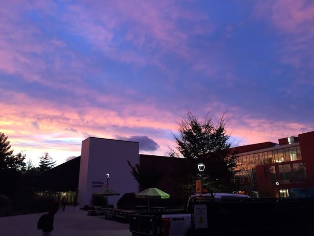 Photo of Adelphi University