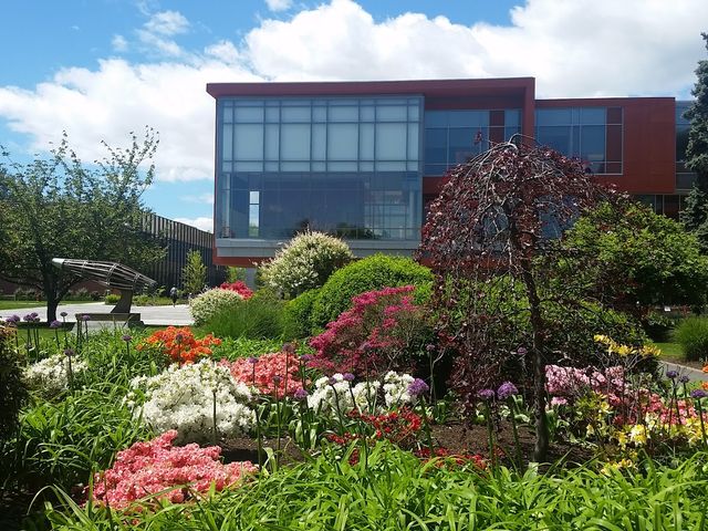 Photo of Adelphi University