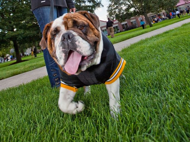 Photo of Adrian College