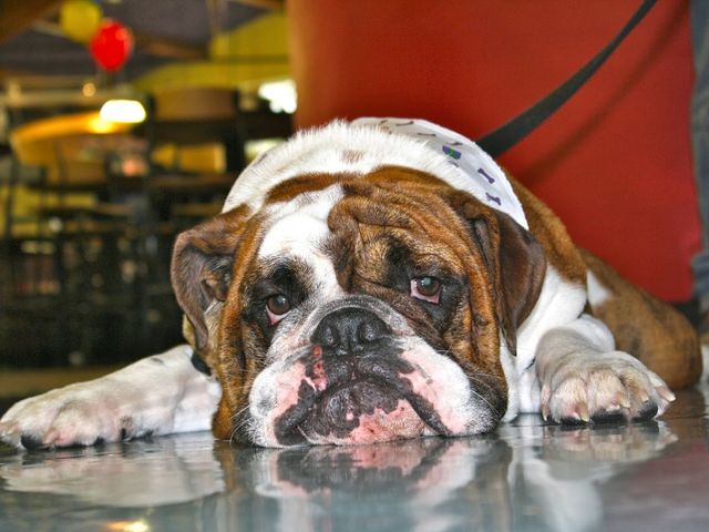 Photo of Adrian College