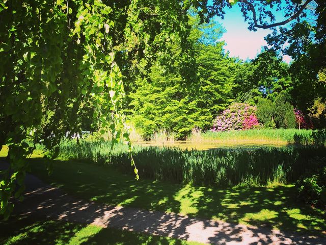 Photo of Legeplads i Ahlmannsparken