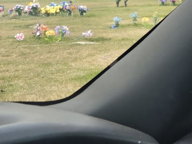 Photo of Alta Mesa Memorial Park