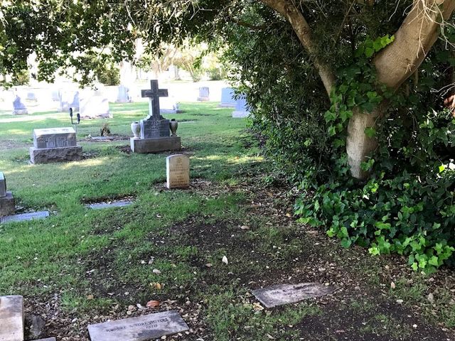 Photo of Alta Mesa Memorial Park