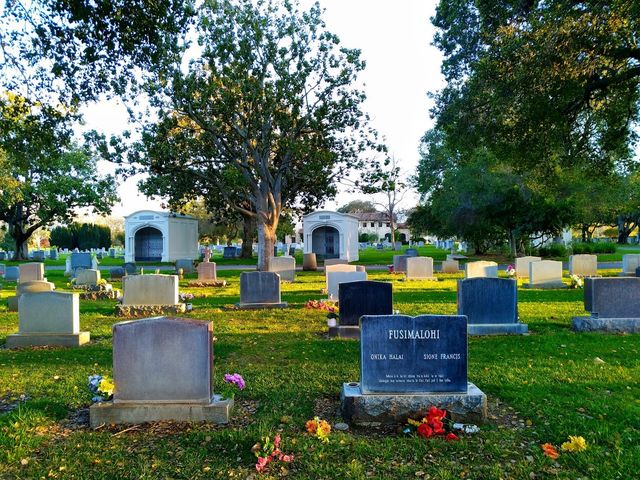 Photo of Alta Mesa Memorial Park