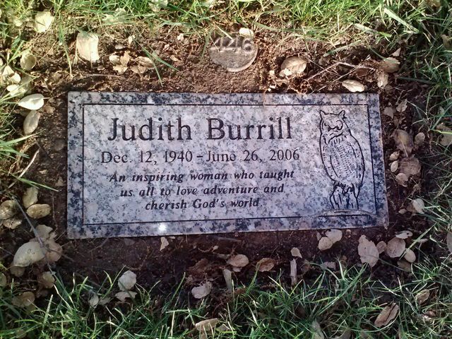 Photo of Alta Mesa Memorial Park