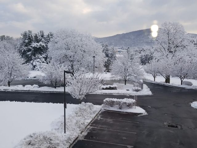 Photo of Alvernia University