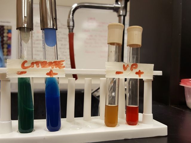 Photo of Alvin Community College